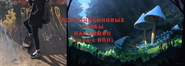 амф Аркадак