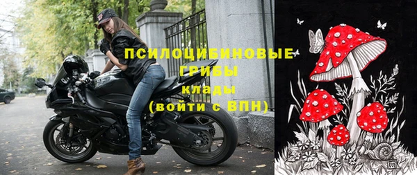 прущая мука Верея
