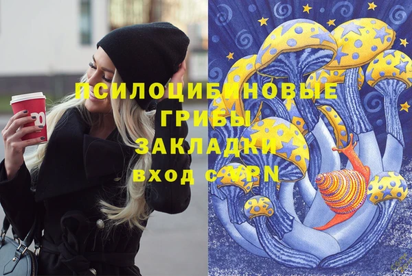 первитин Арсеньев