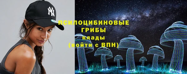 соль ск Армянск
