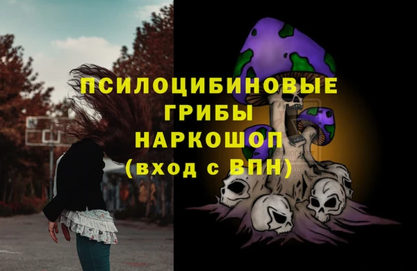амф Аркадак