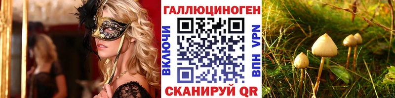 Псилоцибиновые грибы Psilocybine cubensis  Няндома 
