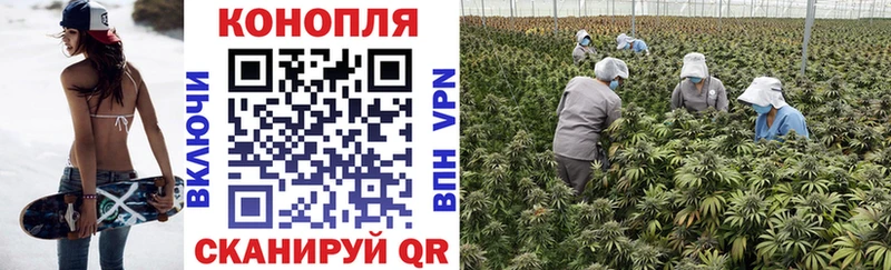 Марихуана Bruce Banner  Няндома 